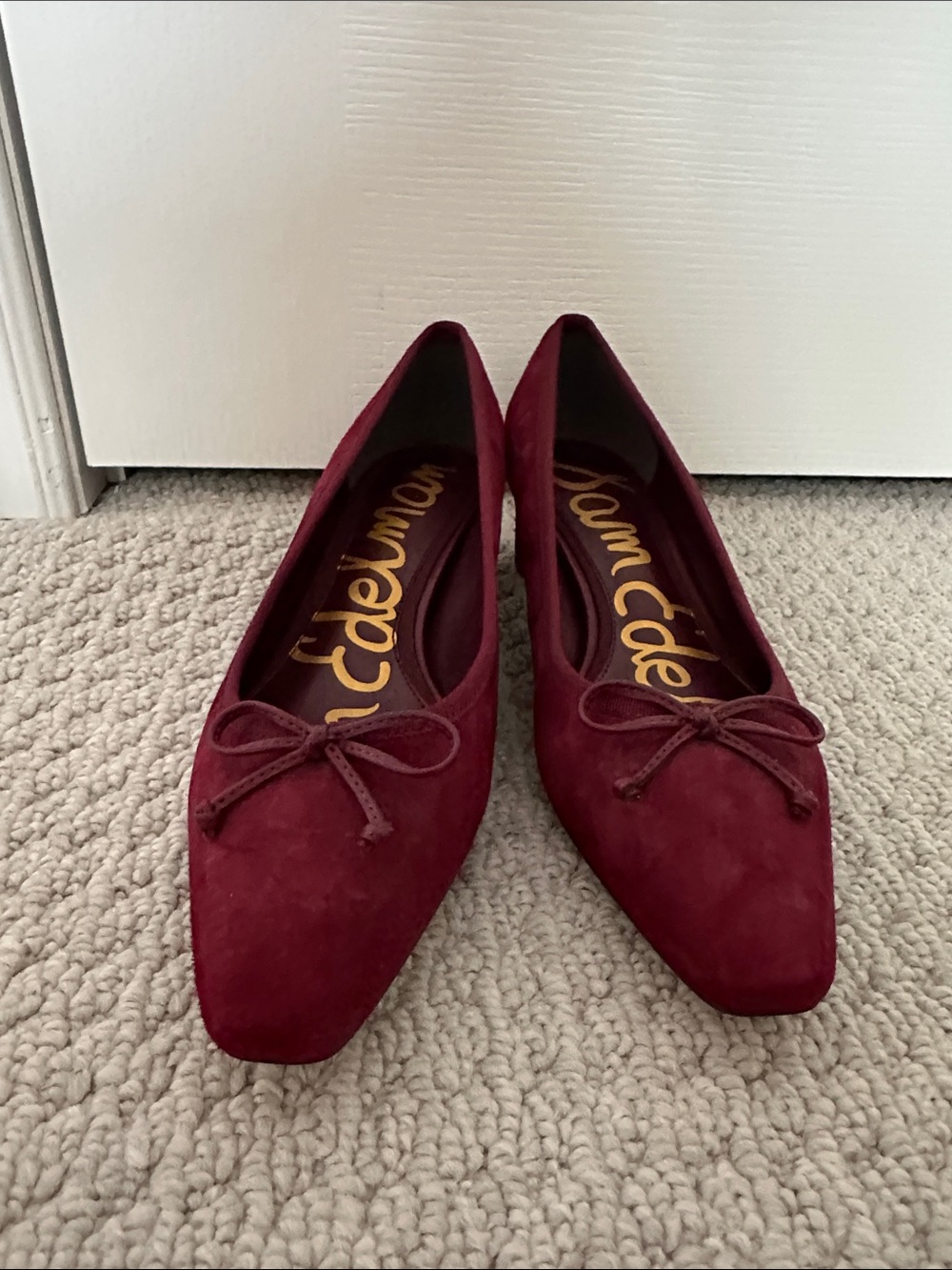 Sam Edelman Ronda Pointed Toe Pump